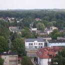 Brynów, ptasie osiedle