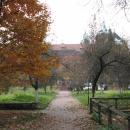 Garden of the Franciscan monastery in Katowice Panewniki 020
