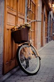 Katowice: Katowickie rowery coraz bardziej popularne